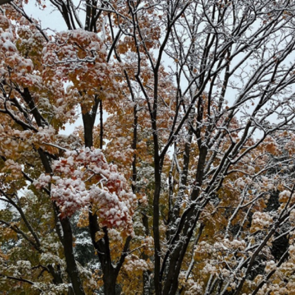 From our porch (Oct)